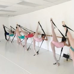 Fifi & Co Flexi Strap; Black