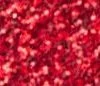 Glitter Shoe Paint; Ruby Red -Dance Clothing Store gltrpaint rred