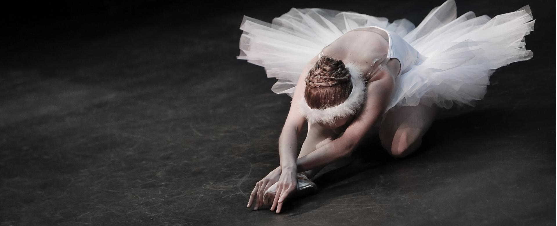 Dance Clothing Store -Dance Clothing Store ballerina 5502254 1920 1